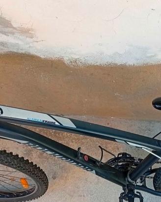 Mountain Bike aluminio 