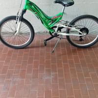 Bici MTB Lion Verde/Nera
