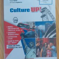 Culture Up! IBSN 9788849420678