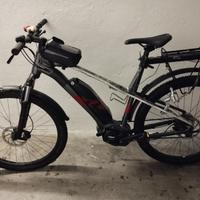 bicicletta elettrica