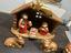 Immagine 6