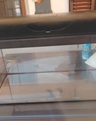 acquario usato