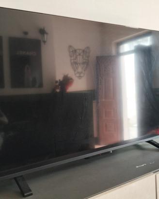 TV TOSHIBA 50 POLLICI