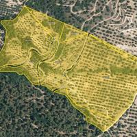 Azienda Agricola Localita' Belcastro