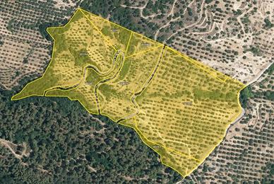 Azienda Agricola Localita' Belcastro