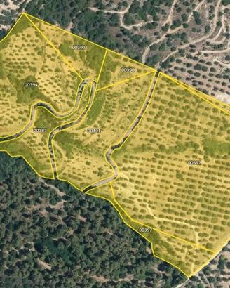 Azienda Agricola Localita' Belcastro