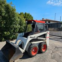 P184-MINI PALA JOLLY 17q