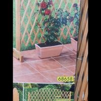 spalliera rampicanti 