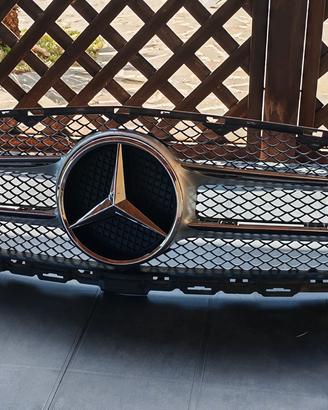 griglia + stemma mercedes