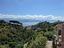 Immagine 7