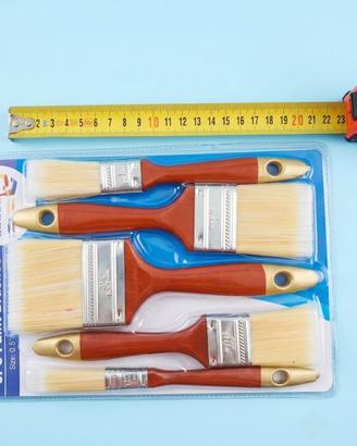 Set pennelli 5 pz