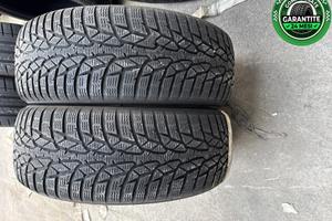 gomme usate 2056016 Winter NOKIAN - WR D4 - 319