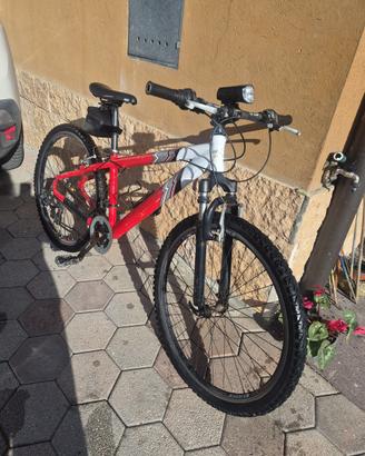 bici uomo