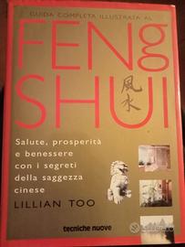 guida completa illustrata al Feng Shui di Lillian 