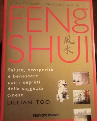 guida completa illustrata al Feng Shui di Lillian 