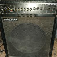 cassa amplificata chitarra