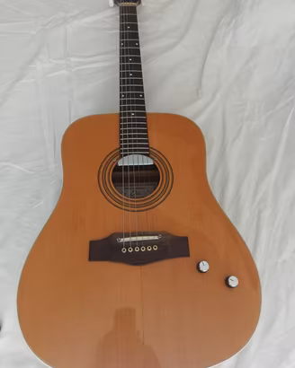 Chitarra Acustica Elettrificata Eko Ranger 6 