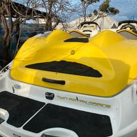 Seadoo speedster