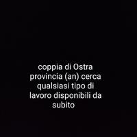 Operai