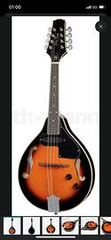 Mandolino elettrico