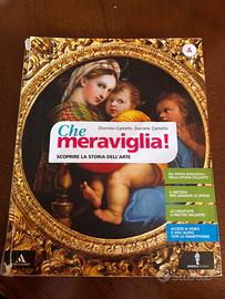 Che meraviglia! SCOPRIRE LA STORIA DELL'ARTE