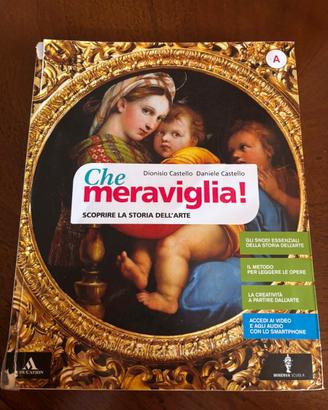 Che meraviglia! SCOPRIRE LA STORIA DELL'ARTE