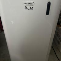 Climatizzatore pinguino