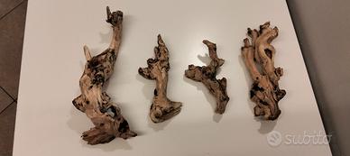 legni di ulivo per terrario o acquario 