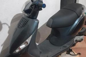 Zip Piaggio