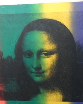 Quadro raffigura una rielaborazione artistica