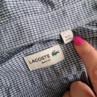 camicia lacoste