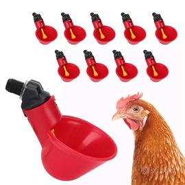 abbeveratoio. per galline  