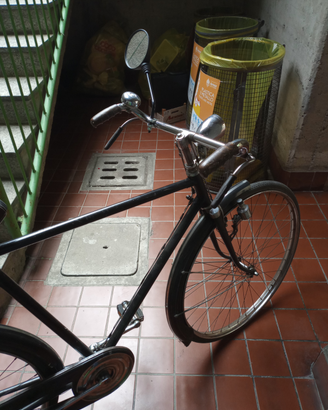 Bicicletta con freni a bacchetta