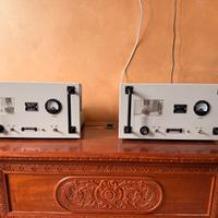 Coppia di Finali Mono Valvolari APPL Audio