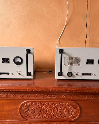 Coppia di Finali Mono Valvolari APPL Audio