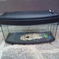 Acquario 80 litri
