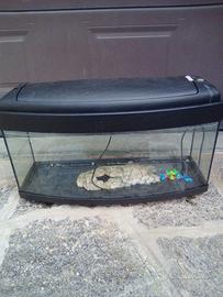 Acquario 80 litri