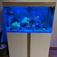 Acquario askoll 200 lt