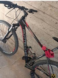 bici bottecchia