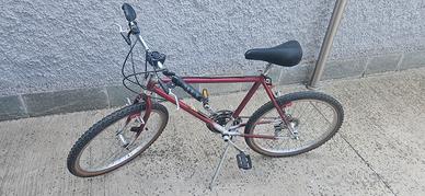 Bicicletta con cambio manuale