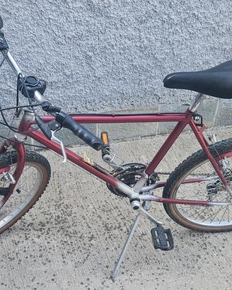Bicicletta con cambio manuale