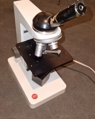 Microscopio ottico Vintage LEITZ HM LUX