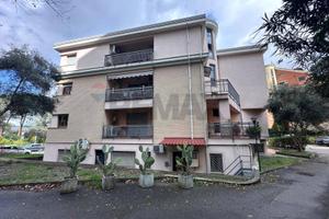 Appartamento - Cosenza