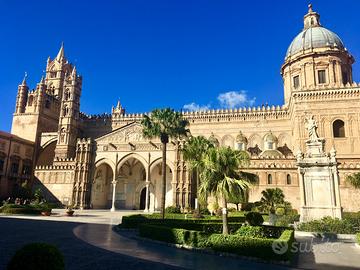 Visita Palermo in estate A 700mt dal Centro