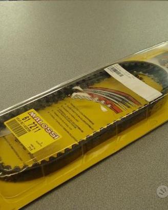 Cinghia Malossi per Honda, Kimko, BVS e HSC