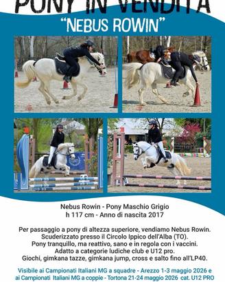 Pony