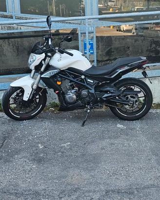 moto benelli 302 bn