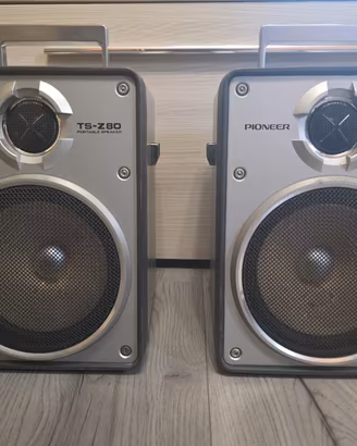 Coppia Diffusori Vintage Pioneer TS-Z80 – Rare – A
