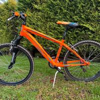 Bicicletta