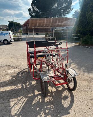 Risció 4 posti